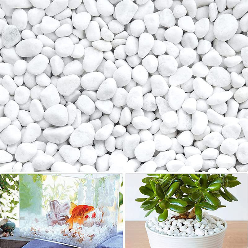 MORINA Ciottoli Bianchi Carrara 15/25 Mm, Sacco Da 20 Kg, Per Giardino E Acquari